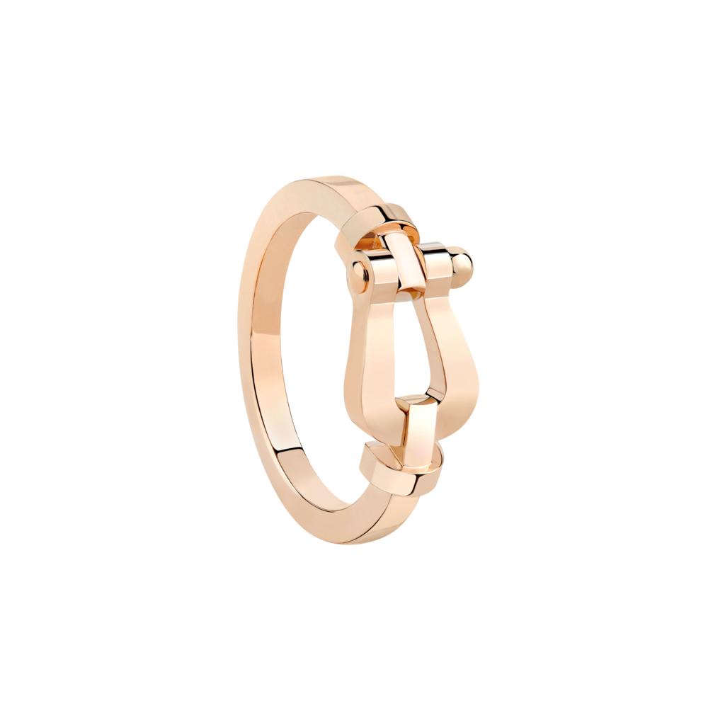 Force 10 Ring 0